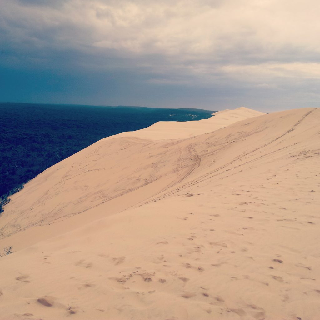 Descubre La dune du Pyla