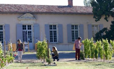 Las Premières Côtes de Bordeaux Abren sus Viñedos al Público