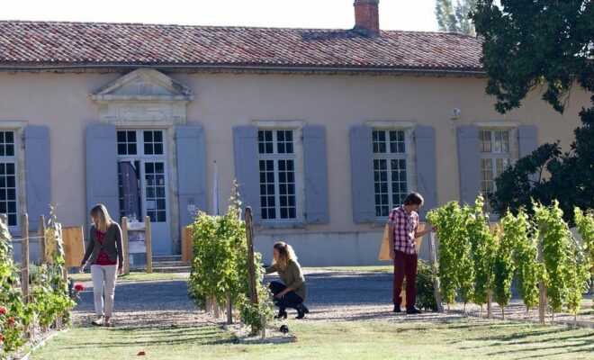 Las Premières Côtes de Bordeaux Abren sus Viñedos al Público