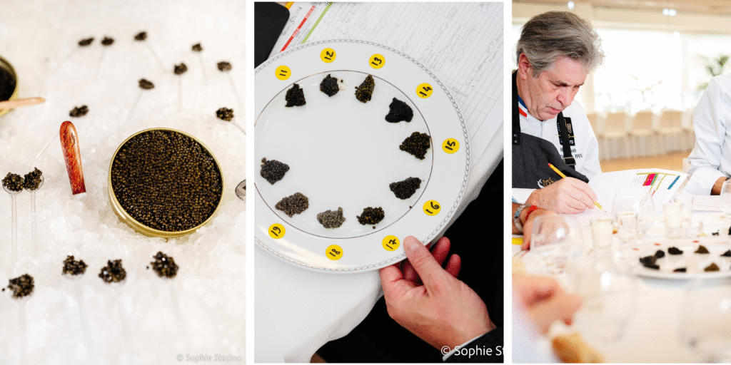 World Caviar Awards 2026: París elige los mejores caviares